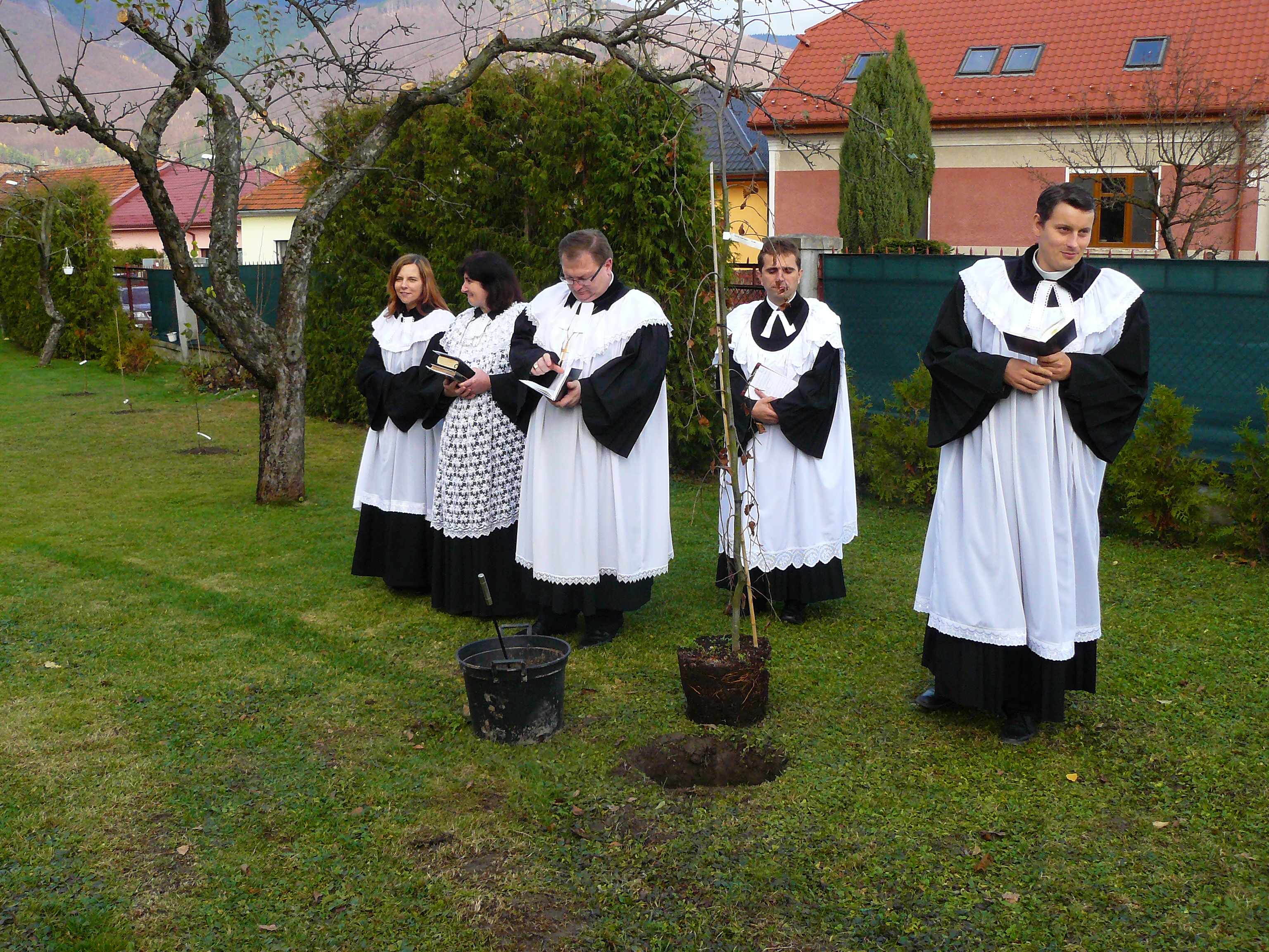 Príprava sadenia stromu reformácie