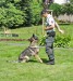 Prehliadka výcviku policajných psov 2